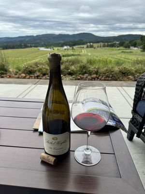 Bethel Heights Vineyard by null