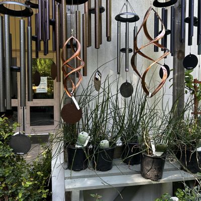 Birmingham Botanical Gardens by null