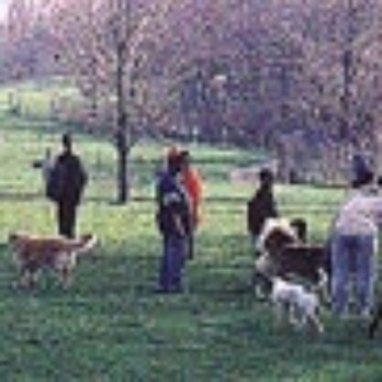 Prospect Park Dog Run - Dog Parks Near Me - Brooklyn, New York Prospect Park Dog Run - Dog Parks Near Me - Brooklyn, New York