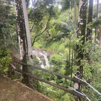 The Umauma Experience - Falls near the dip part of the zip and dip. - Ziplining Near Me - Hakalau, Hawaii The Umauma Experience - Falls near the dip part of the zip and dip. - Ziplining Near Me - Hakalau, Hawaii