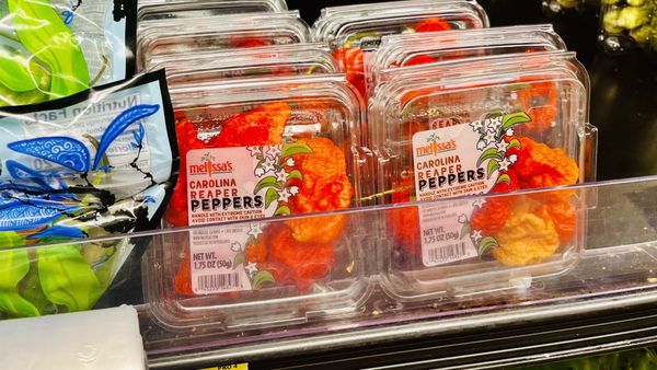 Brookshire Brothers Pharmacy