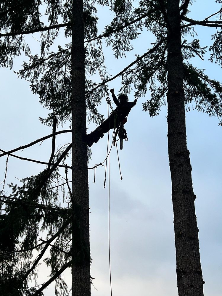AIR ARBORIST Updated August 2024 38 Photos Estacada, Oregon