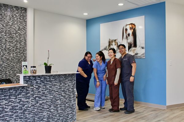 Our Fabulous Team! - Dr. Jeffrey Suh, DVM

Dr. Jeff grew up in Hawaii, but then moved to the mainland to study Biology at Carleton College in Minnesota.  After college, he reconnected with his Korean roots by moving to South Korea, where he ultimately met his wife and attended Konkuk University Veterinary School.  Upon receiving his degree in 2006, Dr. Jeff worked at specialty hospitals in South Korea, volunteered at U.S. military bases under the U.S. Boarded Veterinary Surgical Specialists, and studied at the University of Guelph Veterinary School located in Canada.  

Dr. Jeffrey Suh went on to open Trail Pet Hospital in 2019 as a solo-veterinarian practice out of a desire to provide quality veterinary care at an affordable price and give him the flexibility to do more of what he loves. Dr. Suh has over a decade of experience practicing veterinary medicine all around the world in places like South Korea, Canada, California, and now Texas. He believes in creating well-rounded medical professionals and teams that possess all-around skill sets and bring unique perspectives to the table.

Dr. Kim was born in South Korea. He received his degree at Konkuk University in 2010. He firstly began a veterinary career as a research veterinarian in the vaccine company. Then he wanted to study more about the transmission of viruses and joined a graduate school at the University of
Minnesota in 2014. He received Master’s degree and began the Program for the Assessment of
Veterinary Education Equivalence (PAVE) for accreditation of his veterinary license to start working as a licensed veterinarian in the US. He successfully completed clinical experience evaluation at the Louisiana State University and started working in the Dallas area in 2021.
Dr. Kim is married to Dr. Im, a renowned veterinarian who set a classification system of the canine mammary gland tumor.
They have been enjoying North Texas life with a beautiful long-haired dachshund, Yeo-rum (Summer in Korean).
When Dr. Kim is not taking care of his patients, he enjoys playing baseball, softball, golf, and reading recent small animal research papers.

Dr. Yohan Kim, DVM