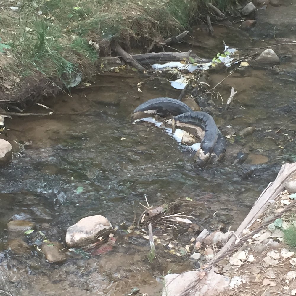 Pack Creek Campgrounds - the creek... gross - Campgrounds Near Me - Moab, Utah