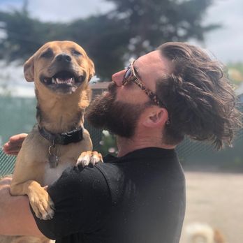 SFWoofPack - Nate and our pup Neala during her last week with the pack - Dog Walkers Near Me