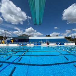 Bobby Hicks Pool - The view from under the 3m board.