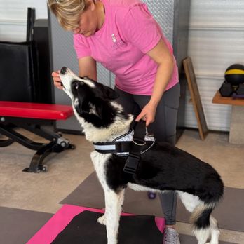 L&B Pet PT - Animal Physical Therapy Near Me L&B Pet PT - Animal Physical Therapy Near Me