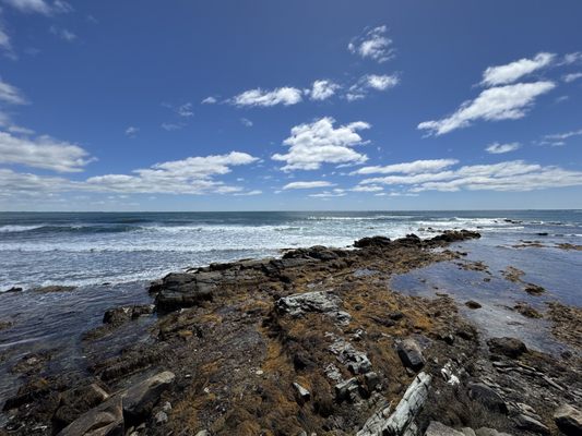 Cliff Walk by null