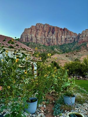 Zion Canyon Bed and Breakfast by null