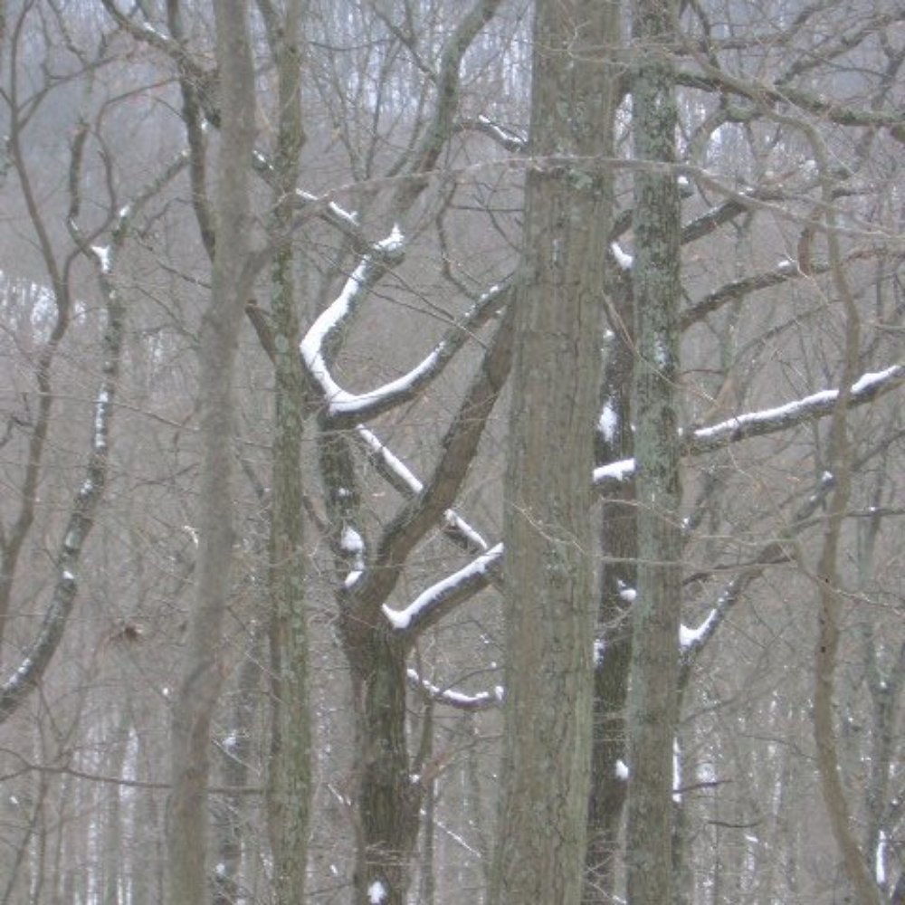Brown County State Park - Hiking Near Me - Nashville, Indiana