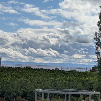 Wandering Hop Wanderlust - a bus parked in a field - Brewpubs Near Me - Zillah, Washington Wandering Hop Wanderlust - a bus parked in a field - Brewpubs Near Me - Zillah, Washington