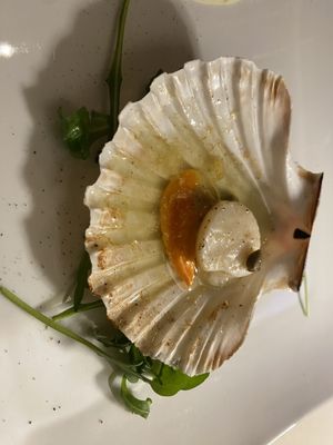 Trattoria Al Passo by null