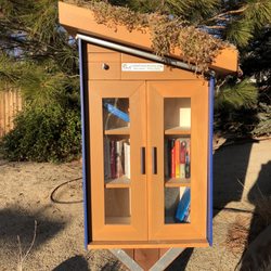 S Arlington Little Free Library - Reno - Succulents growing on top!