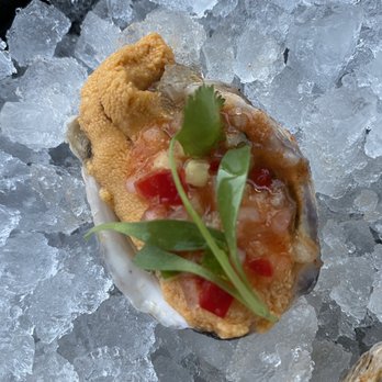 Ceviche Project - Latin American Near Me - Los Angeles, California