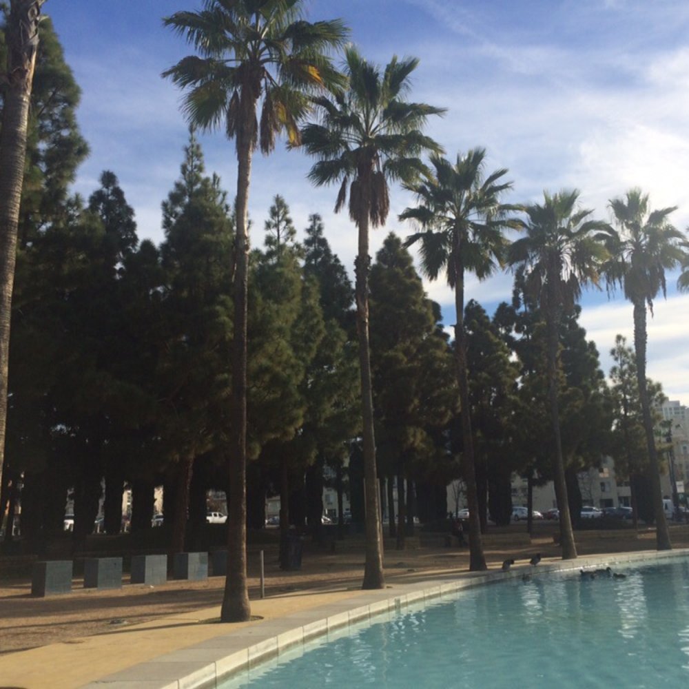 Island Flats - Apartments Near Me - San Diego, California Island Flats - Apartments Near Me - San Diego, California