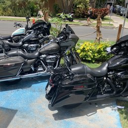 Nice selection of Harleys