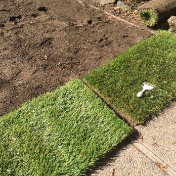 Yardwork Landscaping - The first sod piece laid - Lawn Services Near Me Yardwork Landscaping - The first sod piece laid - Lawn Services Near Me