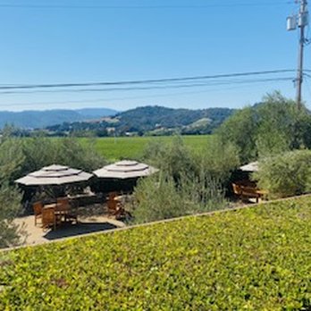 Regusci Winery - Wine Tasting Room Near Me - Napa, California Regusci Winery - Wine Tasting Room Near Me - Napa, California