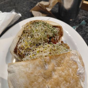 Tommy's - Falafel pita - Vegetarian Near Me - Cleveland Heights, Ohio Tommy's - Falafel pita - Vegetarian Near Me - Cleveland Heights, Ohio