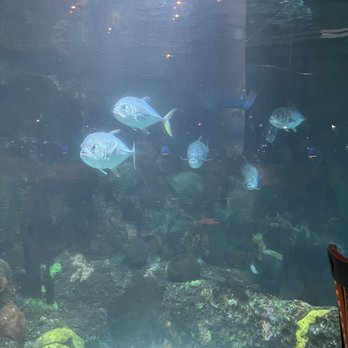 Dive Lounge - Lounges Near Me - Denver, Colorado Dive Lounge - Lounges Near Me - Denver, Colorado