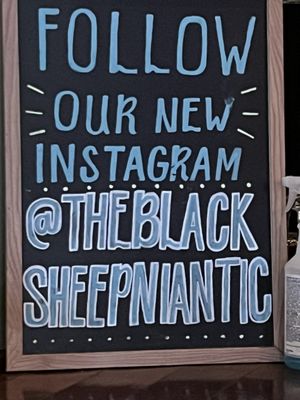 The Black Sheep by null