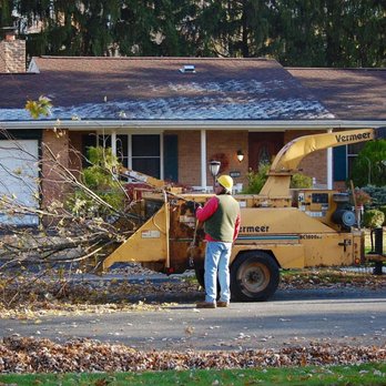 Shull's Tree Service - Tree Services Near Me - Elizabethtown, Pennsylvania Shull's Tree Service - Tree Services Near Me - Elizabethtown, Pennsylvania