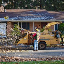 Shull's Tree Service