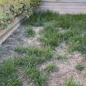 Turf Pros Solution - Before TurfPros installed our turf. - Artificial Turf Near Me - Colorado Springs, Colorado Turf Pros Solution - Before TurfPros installed our turf. - Artificial Turf Near Me - Colorado Springs, Colorado