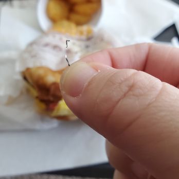 Burger King - a hand holding a tiny piece of food - Fast Food Near Me - Tampa, Florida Burger King - a hand holding a tiny piece of food - Fast Food Near Me - Tampa, Florida