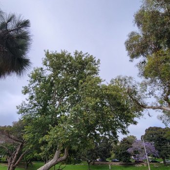 Valley Park - Parks Near Me - Hermosa Beach, California Valley Park - Parks Near Me - Hermosa Beach, California