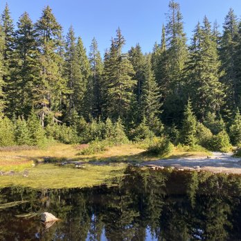 Dog Mountain - Random lake~ - Hiking Near Me