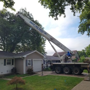 County Tree Service - Tree Services Near Me - Stickney, Illinois County Tree Service - Tree Services Near Me - Stickney, Illinois