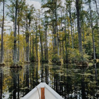 Cypress Gardens - Boat - Parks Near Me - Moncks Corner, South Carolina Cypress Gardens - Boat - Parks Near Me - Moncks Corner, South Carolina