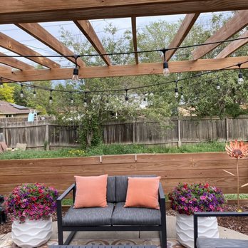 Denver Tree and Landscape - before - wide view - Tree Services Near Me Denver Tree and Landscape - before - wide view - Tree Services Near Me