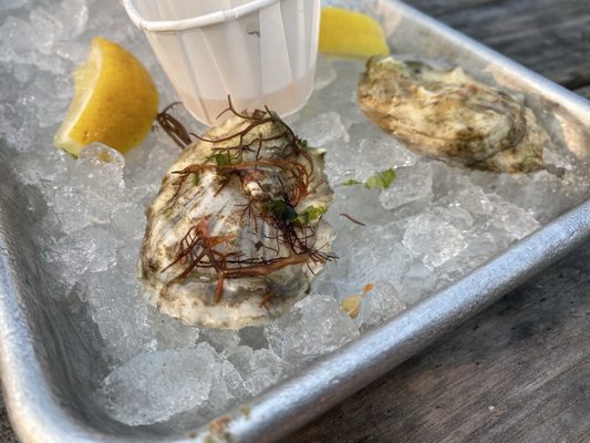 Island Creek Oyster Retail Shop by null