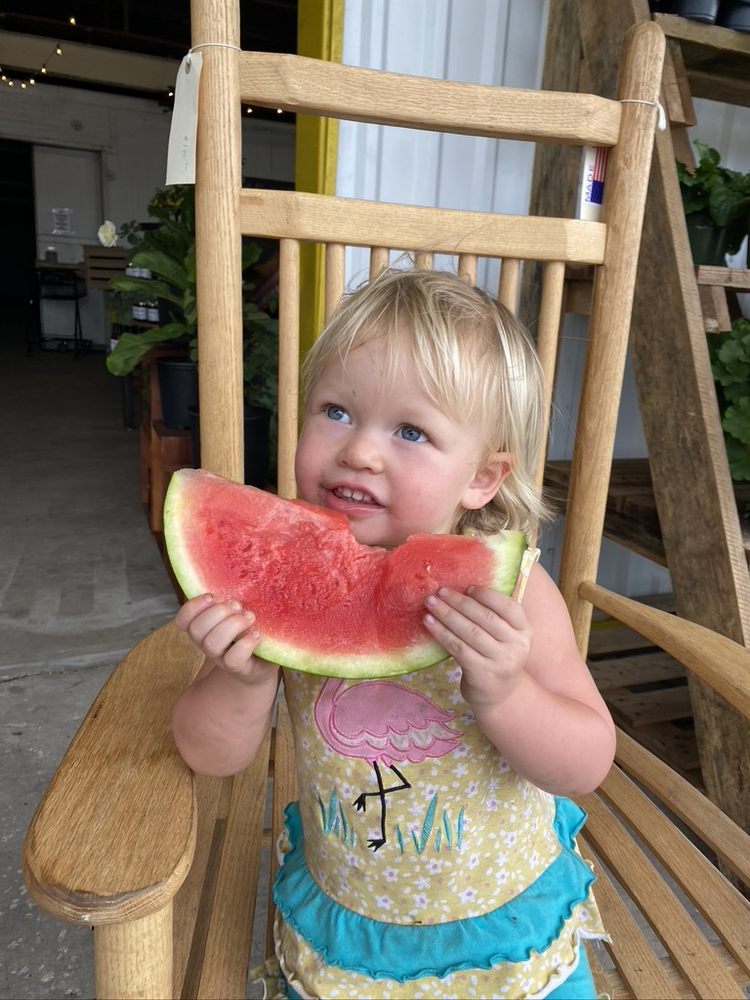 BURGIN FARMS 611 S 6th Ave, Wauchula, Florida Farmers Market