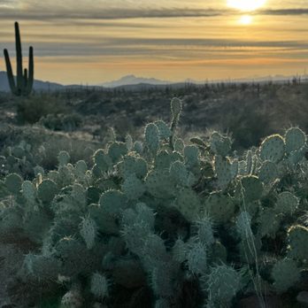Desert Monsters Tours - ATV Rentals/Tours Near Me - Scottsdale, Arizona Desert Monsters Tours - ATV Rentals/Tours Near Me - Scottsdale, Arizona