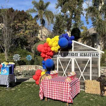 Stars Above Balloon Decor - Balloon Services Near Me