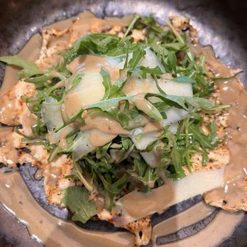 Predalina - Chicken Paillard - Mediterranean Near Me - Tampa, Florida