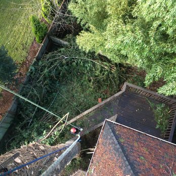 ZEE'S TREE SERVICE - close quarter removal - Tree Services Near Me ZEE'S TREE SERVICE - close quarter removal - Tree Services Near Me