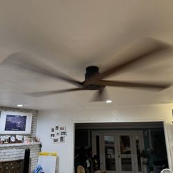Electric Yeti - Ceiling fan.