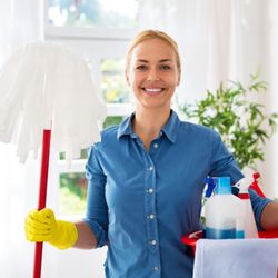Home Hygienist