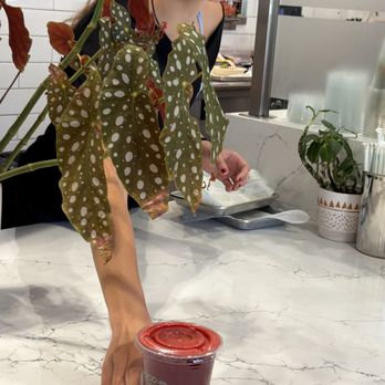 Vibe Organic Kitchen & Juice - 25 mins wait for 1 juice - Juice Bars & Smoothies Near Me - Dana Point, California