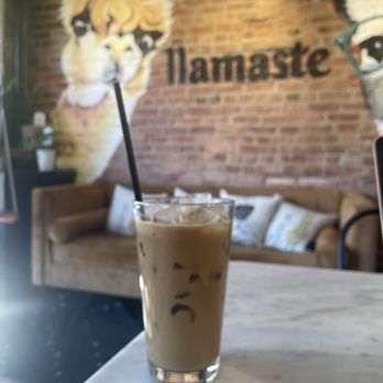 Llamas’ Corner - Iced Espresso - Themed Cafes Near Me - Baltimore, Maryland