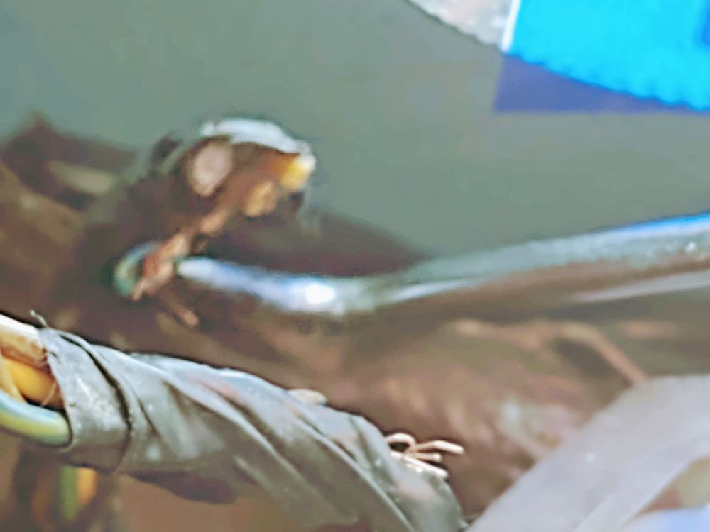 ABC AUTO GLASS Updated September 2024 24 Reviews 516 W Arapaho Rd