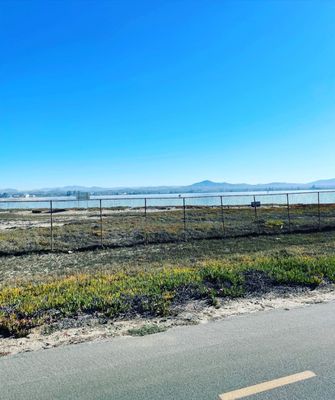 Silver Strand by null