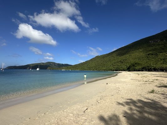 Brewers Bay Beach by null