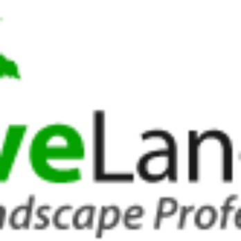Creative Landscapes - a palm tree with the words creative landscapes - Landscaping Near Me Creative Landscapes - a palm tree with the words creative landscapes - Landscaping Near Me