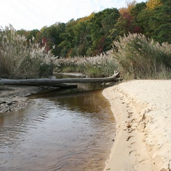 Calvert Cliffs State Park - The river exiting the marsh and into the bay - Parks Near Me