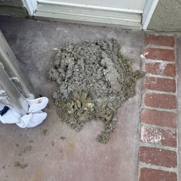 Lint
